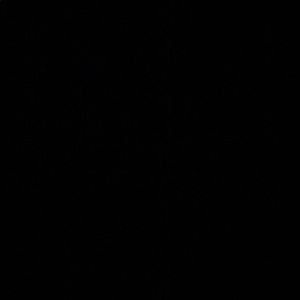 Meet your Posher, Destiny